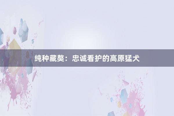 纯种藏獒：忠诚看护的高原猛犬